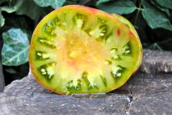 Black Pineapple - Ananas Noire