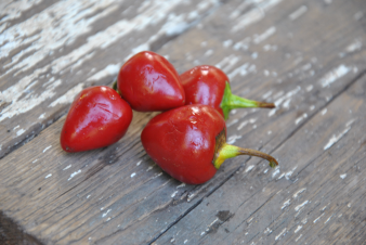 red cherry