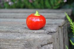 Mennonite studfting słodka