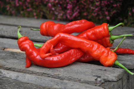 Sigaretta de bergamo słodka