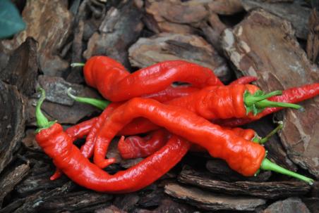 Sigaretta de bergamo słodka