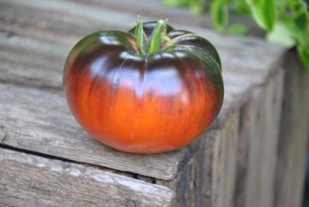 Orange apple