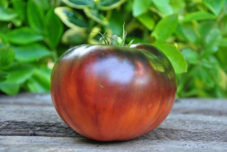Orange apple