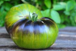 Oklahoma's Crimson Sunset