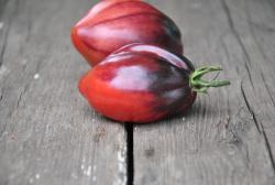 Pepper's Raspberry Noses