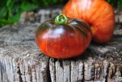 Grey Metal Gun+Sand Castle