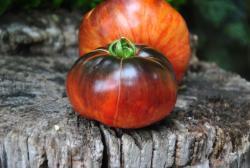 Grey Metal Gun+Sand Castle