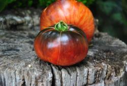 Grey Metal Gun+Sand Castle