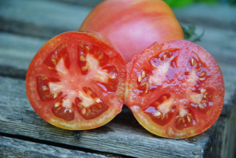 Sunkissed  Peach Dwarf