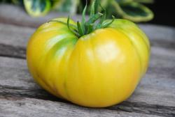 ananas tomato