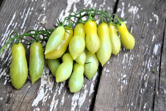 Dancing green fingers