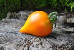 Aunt Gretel's Magic Hats