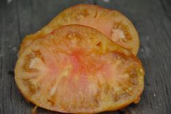 Aunt Gretel's Magic Hats