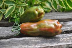 Bâton de Fertilité