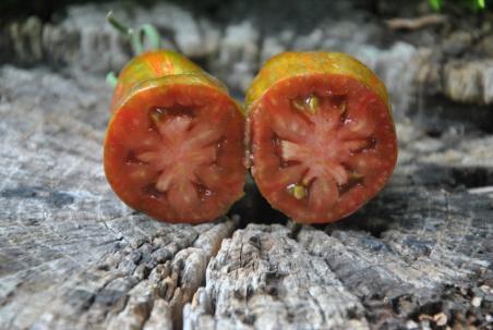 Bâton de Fertilité