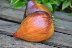 Sladkaya Karamel' Sofii