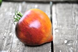 Sladkaya Karamel' Sofii