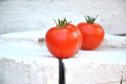 Oldendorf Red wczesny