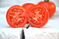 Oldendorf Red wczesny