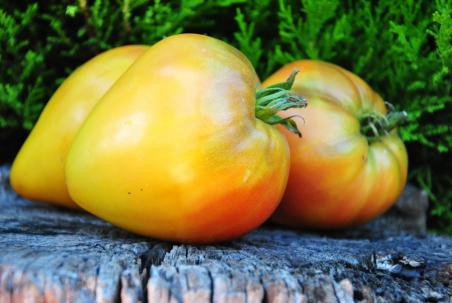 Pineapple strawberry