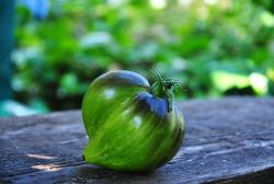 Aliskino Serdtse / Serce aliskino