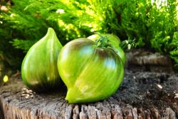 Aliskino Serdtse / Serce aliskino