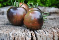 Dalekiy Kosmos/ odległa przestrzeń