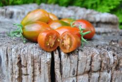 Cinnamon Pear Cherry