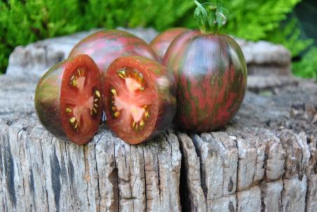 Prekrasnyy Marsianin /Piękny Marsjanin