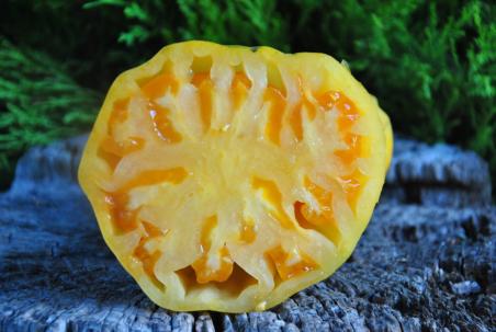 Dolofane de Tismana galben