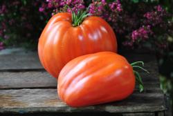 Cuore di Bue Bistecca San Giuliano