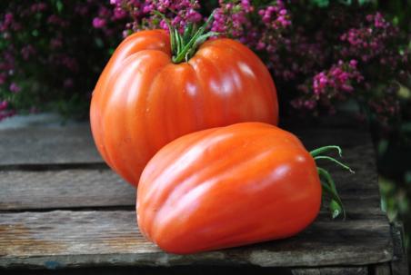 Cuore di Bue Bistecca San Giuliano