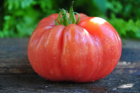 Podarok Shcherbininym - Minusińsk