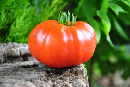 Preveza ou géant grec preveza