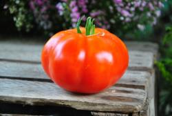 Preveza ou géant grec preveza