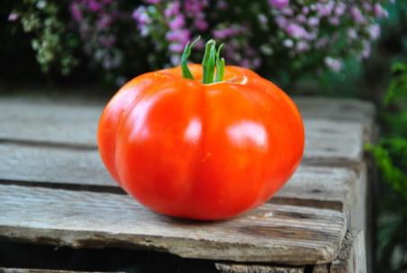 Preveza ou géant grec preveza