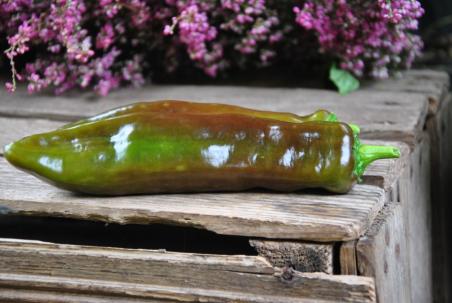 Palermo Chokoloni (Czekoladowa)