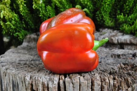 Red Bull / Красный Бык