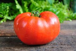 Livingston's Favorite