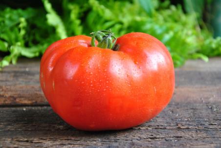 Livingston's Favorite