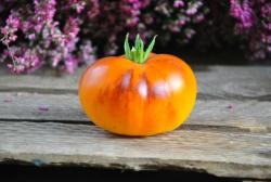 Orange apple