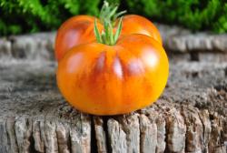 Orange apple