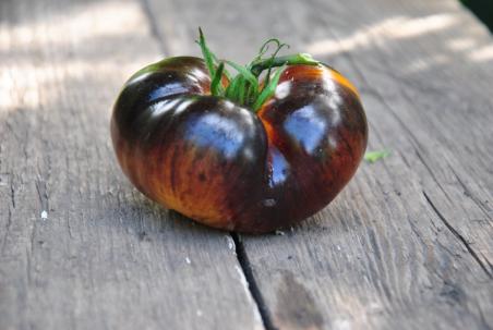 135/22 yellow dragon