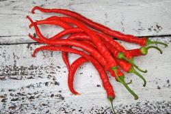 hunder Mountain Longhorn