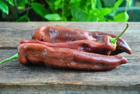 Corne de Taureau Chocolat