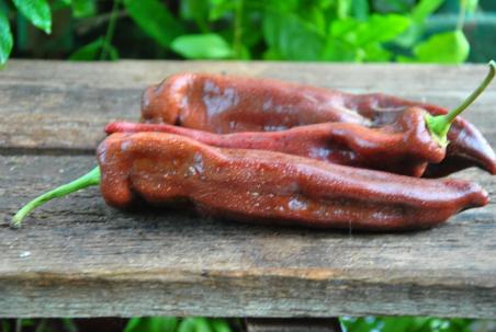 Corne de Taureau Chocolat