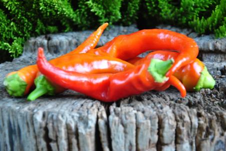 Marconi purple słodka