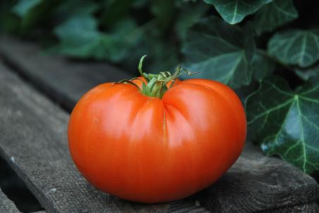 Carol Chycko's Big Paste