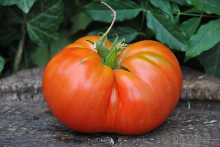 Sunset's red horizon