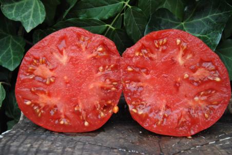 Cindy's west virginia